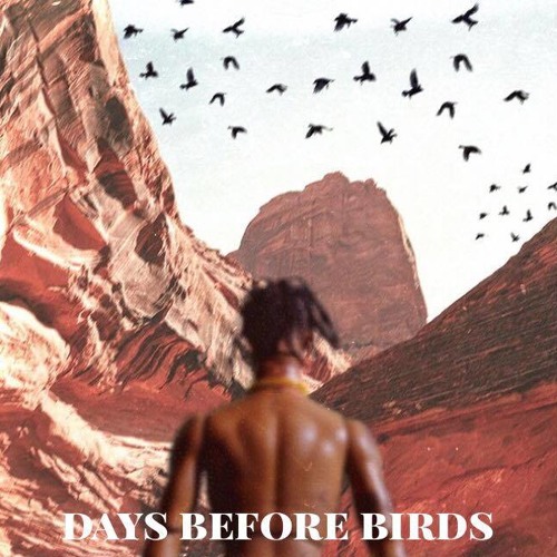 days before birds mix