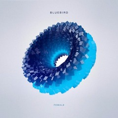 Female - Bluebird (Tunde Remix)