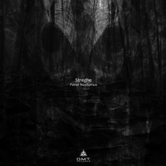 DMTE109 - Pavor Nocturnus - Streghe (Preview Mix)