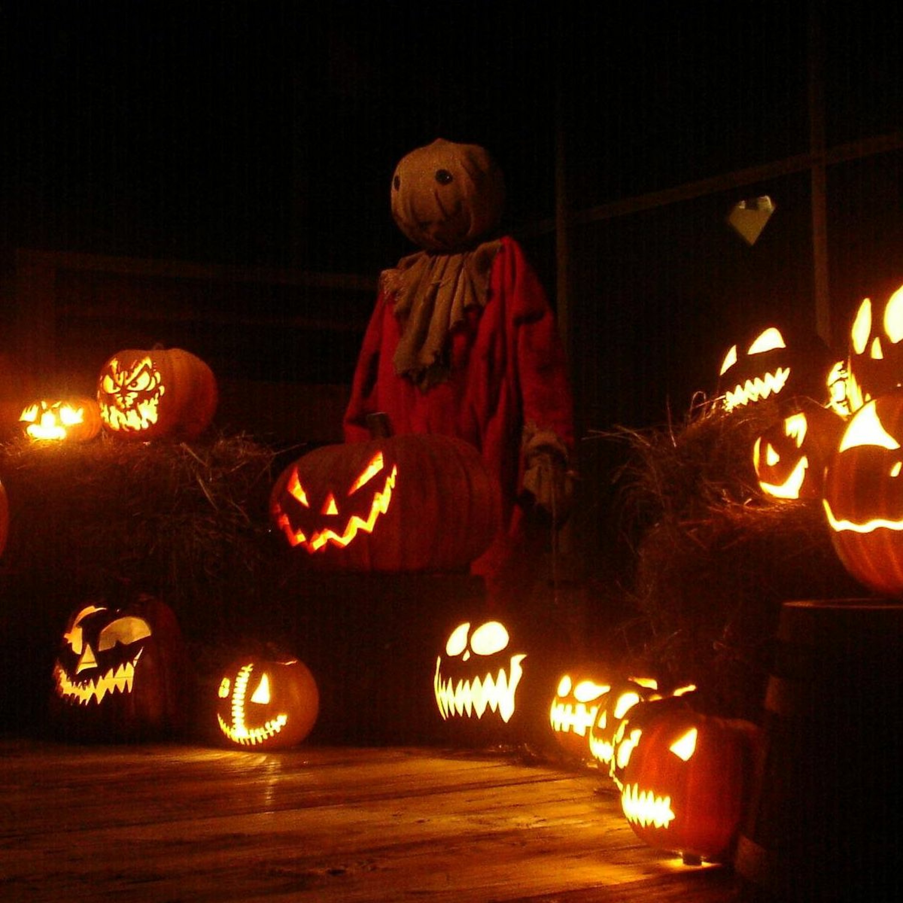 Episode 21 - WSD HALLOWEEN SPECIAL III - Trick 'r Treat episode artwork