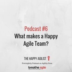 What makes a happy agile team?