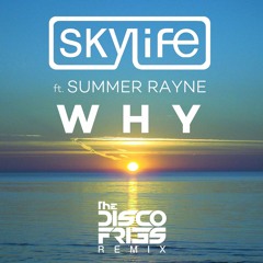 Skylife - Why (Disco Fries Remix)