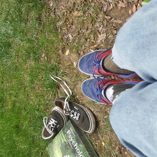 something in the way - nirvana (cover)