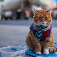 [DUBSTEP] ST4RBUCK vs Skrillex - Run the BollyDub (LP 'mix')