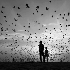 Humbiumbi (cover Djavan) - Júlio Estrelinha