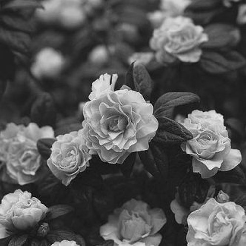 ~ oh wonder_technicolor beat ~