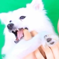 Jacksfilms - ALEXANDER HAMILTON