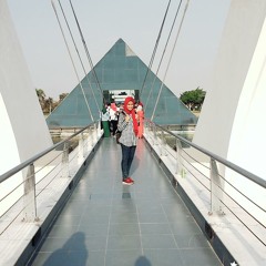 وصفولى الصبر