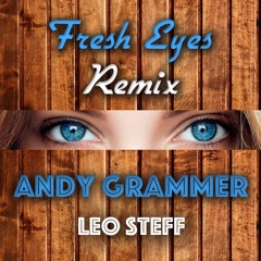 Fresh Eyes - Andy Grammer (Leo Steff Remix)