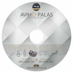 DJ AVIHO PALAS - Holidays Set  Hits 2016