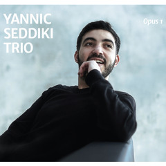 Yannic Seddiki