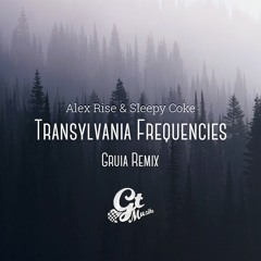 Alex Rise & Sleepy Coke - Transylvania Frequencies (Gruia Remix)