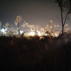 맹 - 이소설의 끝을 다시 써보려해