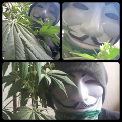 Wir Sind Besteste - Bratwurstkalle & Bembelmoik