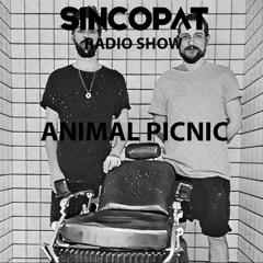 Animal Picnic - Sincopat Podcast 168