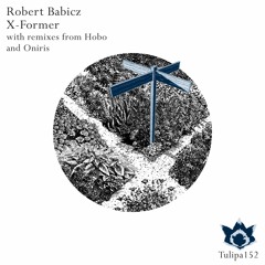 Robert Babicz - X Former (Oniris Remix) [Tulipa Recordings]