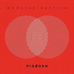 Pig&Dan PASSAGE TO ISRAEL