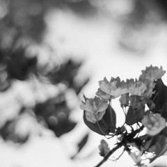 December - Guest Mix