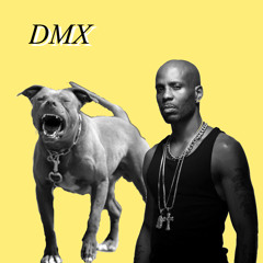 RUFF RIDERS GONNA GIVE IT TO YA