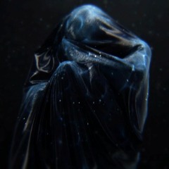 Nicolas Jaar - B.I.G