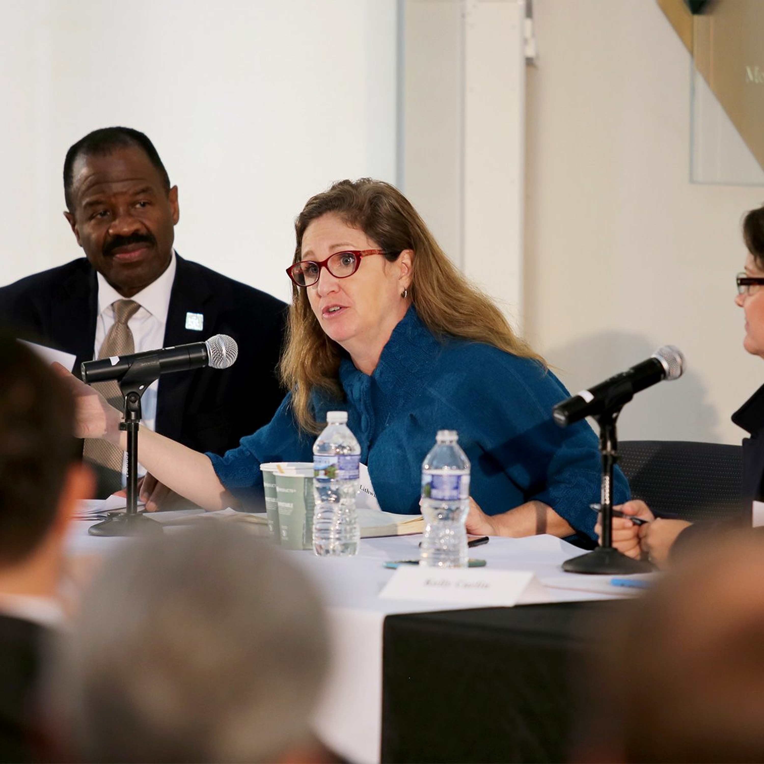 2016 Jefferson Symposium Panel: "Free Speech In and Out of the Classroom" episode artwork
