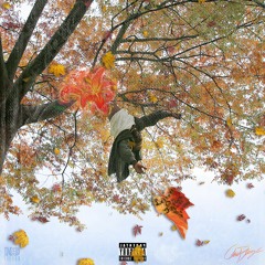 Birds [Prod. RayDaPrince]