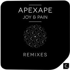 Apexape - Joy & Pain (Carl Bee Remix) - CR2 Records