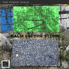 Calm Before Storm / #6 of 22