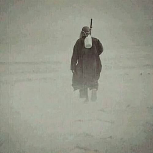 ذنب كبير .. بصوت واحد صاحبي ..