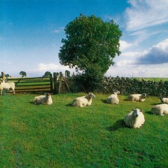 THE KLF - CHILL OUT (UK Version)
