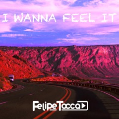 Felipe Tocca - I Wanna Feel It (Original Mix)