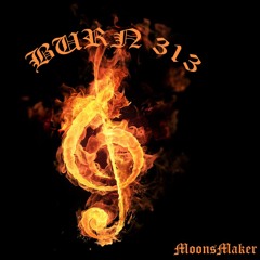 Burn313