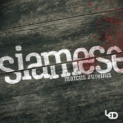 Siamese Twins - Marcus Aurelius