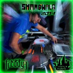 Shambhala 2014 Fractal Forest Sunrise Set