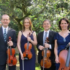 Abba - Mamma Mia (String Quartet excerpt)