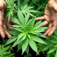 ThizGuy-My Mornings Episode: 002