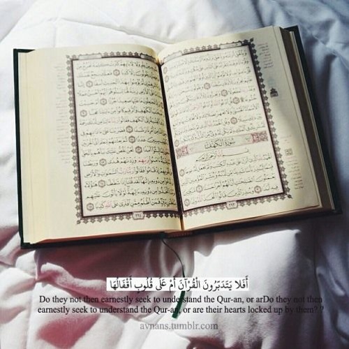 سكينة وراحة ﻻ توصفّ||القارئ وديع اليمني