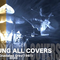 Gradated Gray Covers