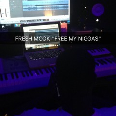 FRESH MOOK- "FREE MY NIGGAS"