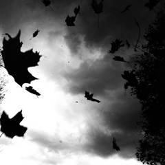 Beyond the Autumn borders