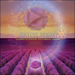 |Visionary Shamanics Records| - ICARO - Depth Of Perception