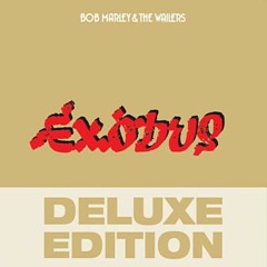 Turn The Lights Down Low (Remix)