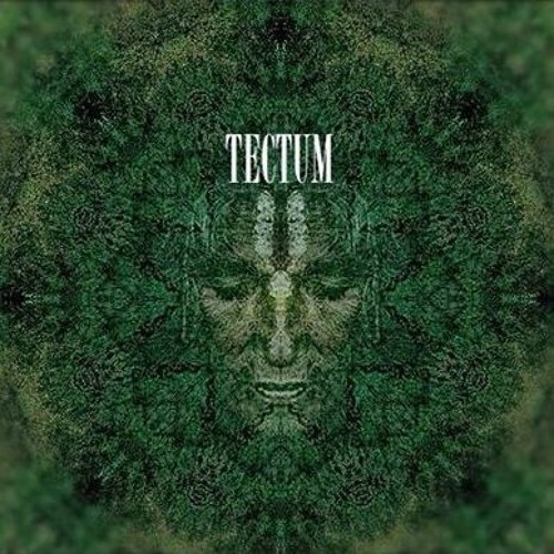 Tectum - Dream Sequence