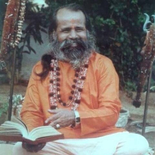 નારાયણ સ્વામી
