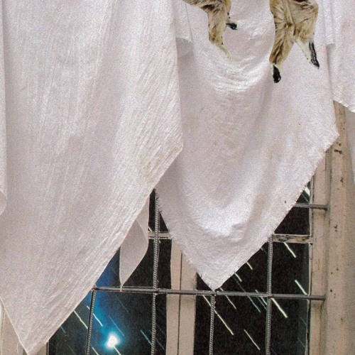 PL15 - DIRE WOLVES - HOUSE OF TRIANGLES (SAMPLE)