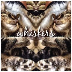 Whitness - whiskers (Oct 2016)