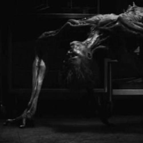 SYNOID X DEFECT X GRAPHYT - CONSCIOUS