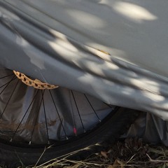 Theodore Schafer - Topiary