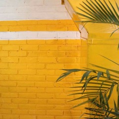 BINTANG KEHIDUPAN koplo (cover by Ubay feat Dinidias)