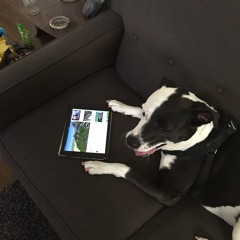 You Only Exist Online